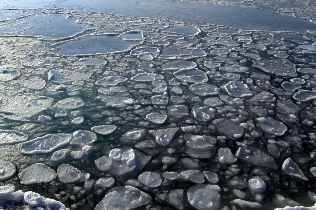 Terminología de la OMM del hielo marino